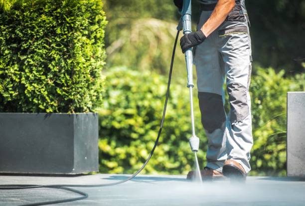Best Driveway Pressure Washing  in Wells, MN