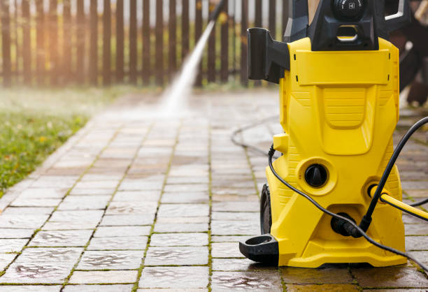 Best Roof Washing  in Wells, MN