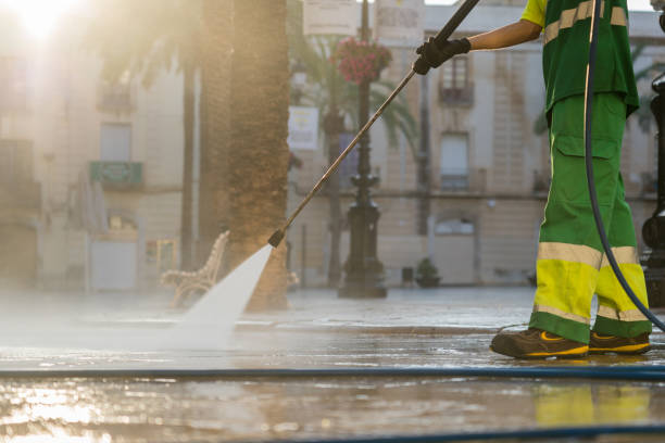 Best Sidewalk and Walkway Cleaning  in Wells, MN